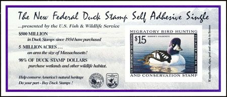 1998-2020 #RW65A-RW88A