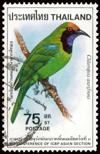 Stamps From Asia | Pacific Island Stamps | Kenmore Stamp