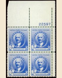 # 887 - 5¢ D.C. French: plate block