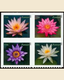 #4964S- (49¢) Water Lilies