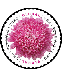 #5460 - ($1.20) Chrysanthemum