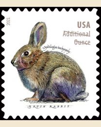 #5544 - (20¢) Brush Rabbit