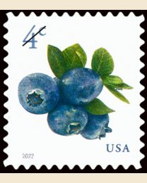 #5652 - 4¢ Blueberries