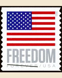 #5789A- Freedom Flag