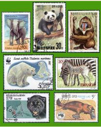 Animal postage stamps | cat postage stamp |dog postage stamp