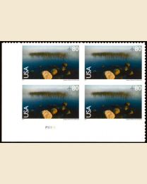 #C148 - 80¢ Voyageurs National Park: Plate Block