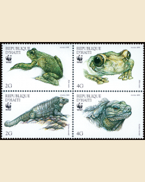 WWF Tree Frog & Iguana