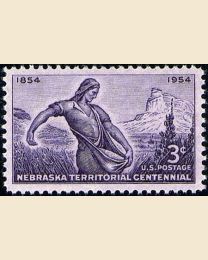#1060 - 3¢ Nebraska Territory