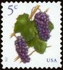 #5177 - 5¢ Grapes