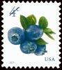 #5652 - 4¢ Blueberries