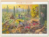 Sonoran Desert Sheet