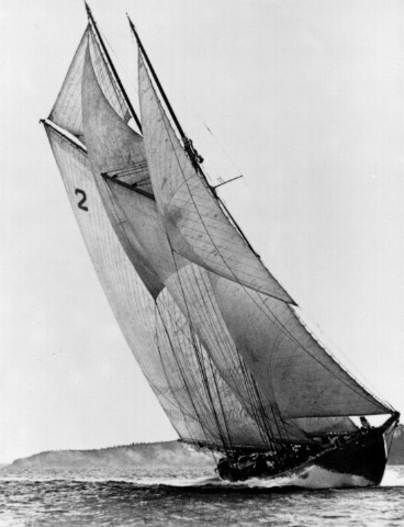 Bluenose Front View