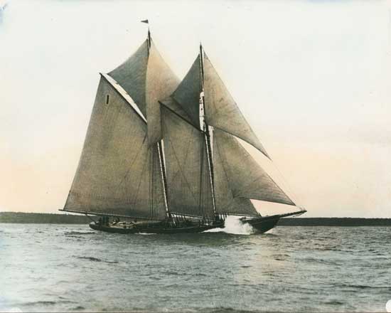 Bluenose Side View